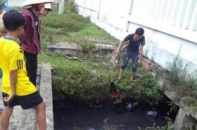 Loại bỏ khối u ác tính cho môi trường