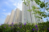 Những cư dân đầu tiên tại Mulberry Lane nhận sổ hồng