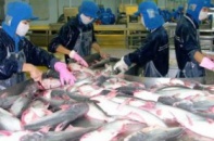 Không nhà đầu tư ngoại nào đấu giá cổ phiếu Seaprodex