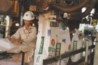 Đạm Cà Mau và động lực tăng trưởng mới