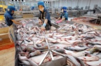 Seaprodex ế 1/4 số cổ phần chào bán