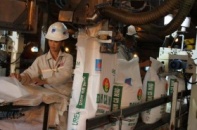 Phân bón nội địa lấy lại "sân nhà"
