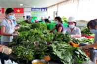 Nhiều hỗ trợ dành cho hợp tác xã