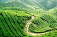 Sơn La lên chiến dịch thu hút đầu tư vào Mộc Châu