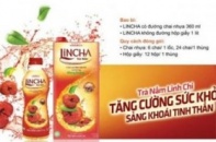 Tác dụng và cách dùng của một số loại trà linh chi