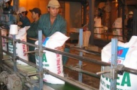 Hiệp hội Phân bón lo phân bón nhập khẩu bị làm khó