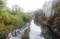 Đà Nẵng sẽ xử lý triệt để ô nhiễm sông Phú Lộc