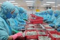 Cần Thơ xuất siêu 970 triệu USD trong năm 2014