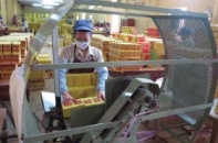 Yên Bái tạo đà thu hút đầu tư vào khu công nghiệp