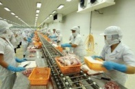 Tác động tổng hợp của cú sốc giá dầu và đồng ruble