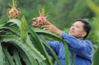 Xuất khẩu nắm cơ hội vàng 2015