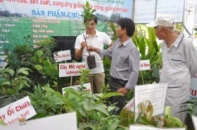 Hội chợ Nông nghiệp và sản phẩm trang trại làng nghề