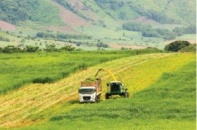 Nâng cao giá trị, hiệu quả sản xuất ngành nông nghiệp
