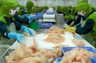 Seaprodex có thể ế tiếp cổ phần lần 2