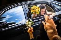 Những bức ảnh cưới độc và đẹp đoạt giải nhất năm 2014