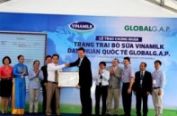 Vinamilk tăng thu mua sữa tươi nguyên liệu của nông dân