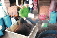 "Đột nhập" xưởng sản xuất càphê bằng bột bắp và hóa chất tại Buôn Ma Thuột