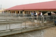 Chuẩn bị đất xây dựng Nhà máy nước mặt sông Hồng