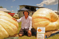 Bí ngô nặng 743 kg phá kỷ lục của Australia và New Zealand