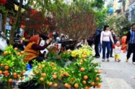 Tết Nguyên đán miền Bắc mưa phùn, trời lạnh