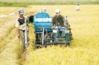 Vốn FDI tìm dự án máy và thiết bị nông nghiệp