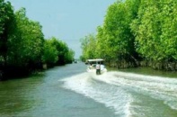 Về miền sông nước Cà Mau
