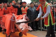 Hôm nay, làng Ném Thượng…chém lợn