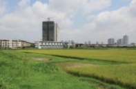 Thanh lọc chủ đầu tư BĐS thiếu năng lực