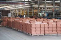 Viglacera Hạ Long đặt mục tiêu lợi nhuận 125 tỷ đồng