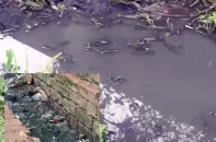 Làng ung thư giữa lòng Hà Nội: Vẫn "ngóng"nguồn nước sạch