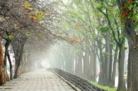 Đêm nay miền Bắc trở rét, mưa sẽ giảm