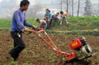 Nhiều mặt hàng sẽ không phải chịu thuế