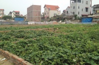 Giá đất ven cầu Nhật Tân đang nóng lên từng ngày