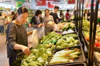 Vingroup công bố dự án nông nghiệp VinEco