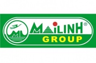 Mai Linh bán sim 0989999999 của chủ tịch