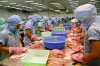 Phê duyệt Hiệp định tránh đánh thuế hai lần với I-ran