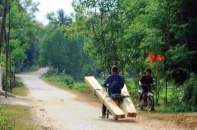 Bình Định: Lâm tặc “nhởn nhơ” phá rừng