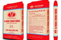 Chuẩn bị thủ tục đầu tư Dự án xi măng 2,3 triệu tấn