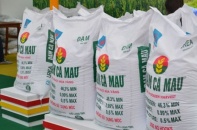 Cổ phiếu Đạm Cà Mau tăng mạnh phiên chào sàn