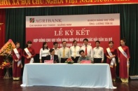 Ngư dân Quảng Nam vay 4,9 tỷ đồng đóng tàu gỗ 811CV