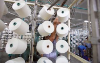 Hải quan cảnh báo rủi ro xuất xứ, chuyển tải bất hợp pháp với hàng xuất khẩu
