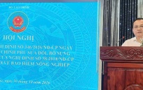 Tạo nền tảng cho việc xây dựng hệ sinh thái bảo hiểm nông nghiệp hiện đại