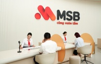 MSB tăng trưởng lợi nhuận trước thuế quý III đạt trên 27%   