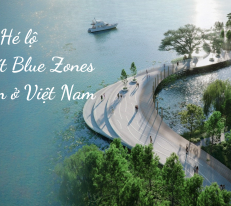 Hé lộ vùng đất Blue Zones đầu tiên ở Việt Nam