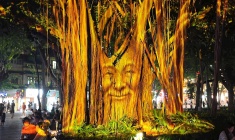Cây đa cổ bên Hồ Gươm trở thành sân khấu trình diễn 3D Mapping độc đáo