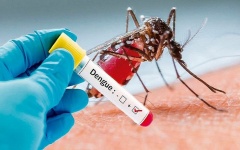  Tin mới về y tế ngày 27/6: Đã có 30 ca tử vong do sốt xuất huyết