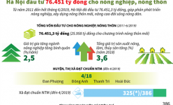 [Infographic] Hà Nội đầu tư 76.451 tỷ đồng xây dựng nông thôn mới