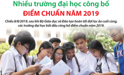 [Infographic] Chi tiết điểm chuẩn tuyển sinh đại học năm 2019 