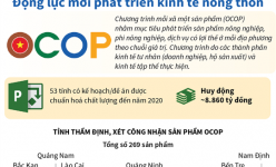 [Infographic] OCOP: Động lực mới phát triển kinh tế nông thôn