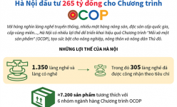 [Infographic] Hà Nội đầu tư 265 tỷ đồng cho Chương trình OCOP